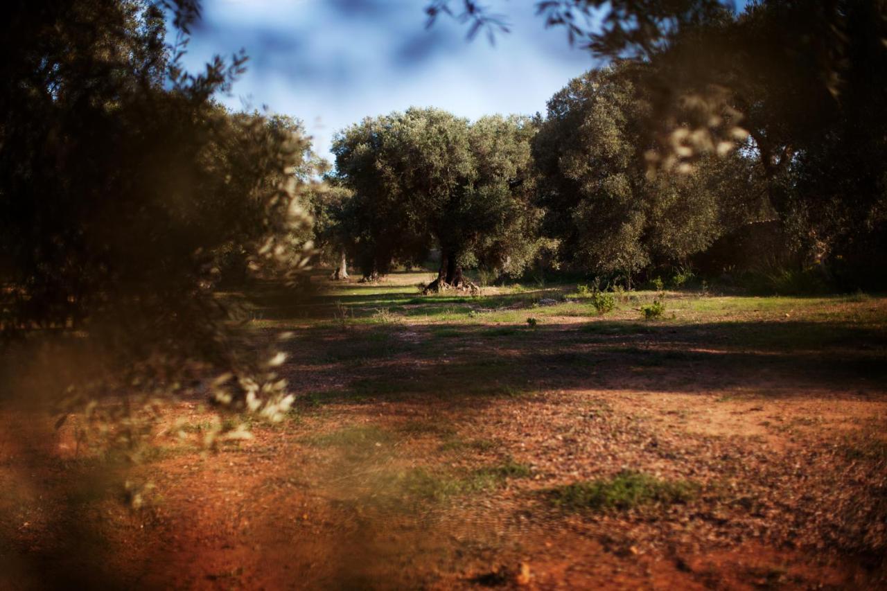 Masseria Borgo Mortella Lecce Extérieur photo